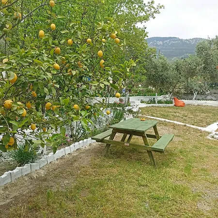 Lotus House Case de vacanță Soke