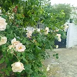 Lotus House Soke