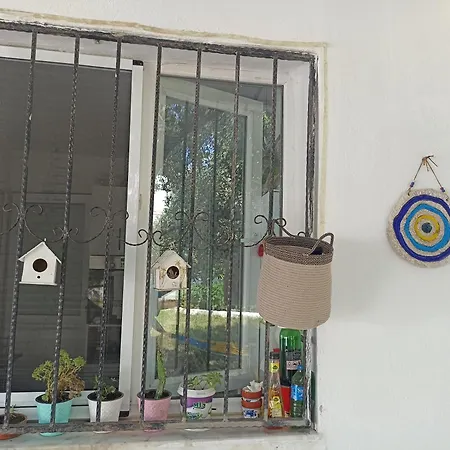 Lotus House