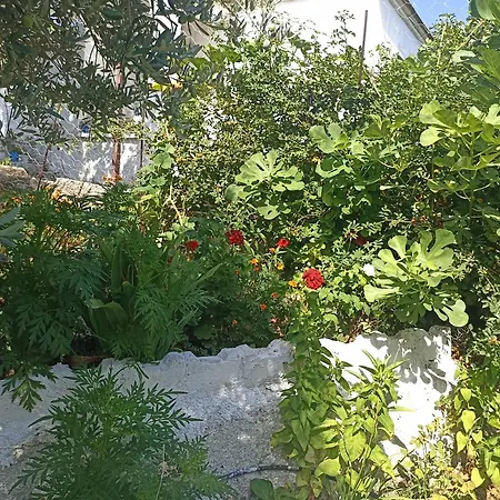 Lotus House * Сёке