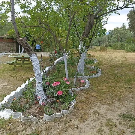 Lotus House *