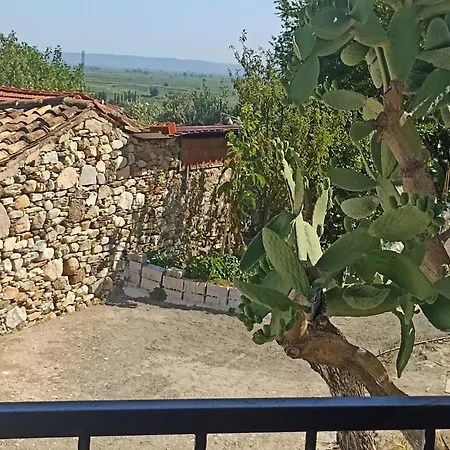 Lotus House