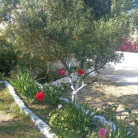 Lotus House