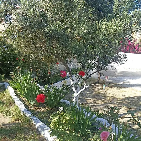 Lotus House