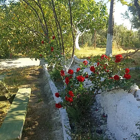 Дом отдыха Lotus House Сёке