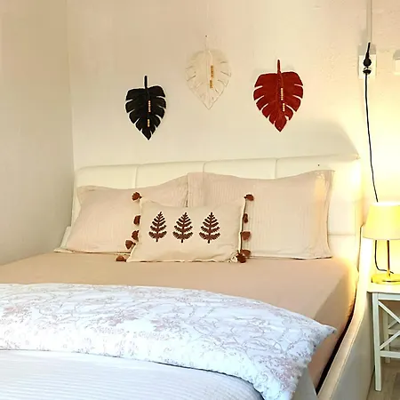 Lotus House Сёке