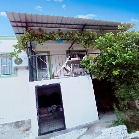 Lotus House *